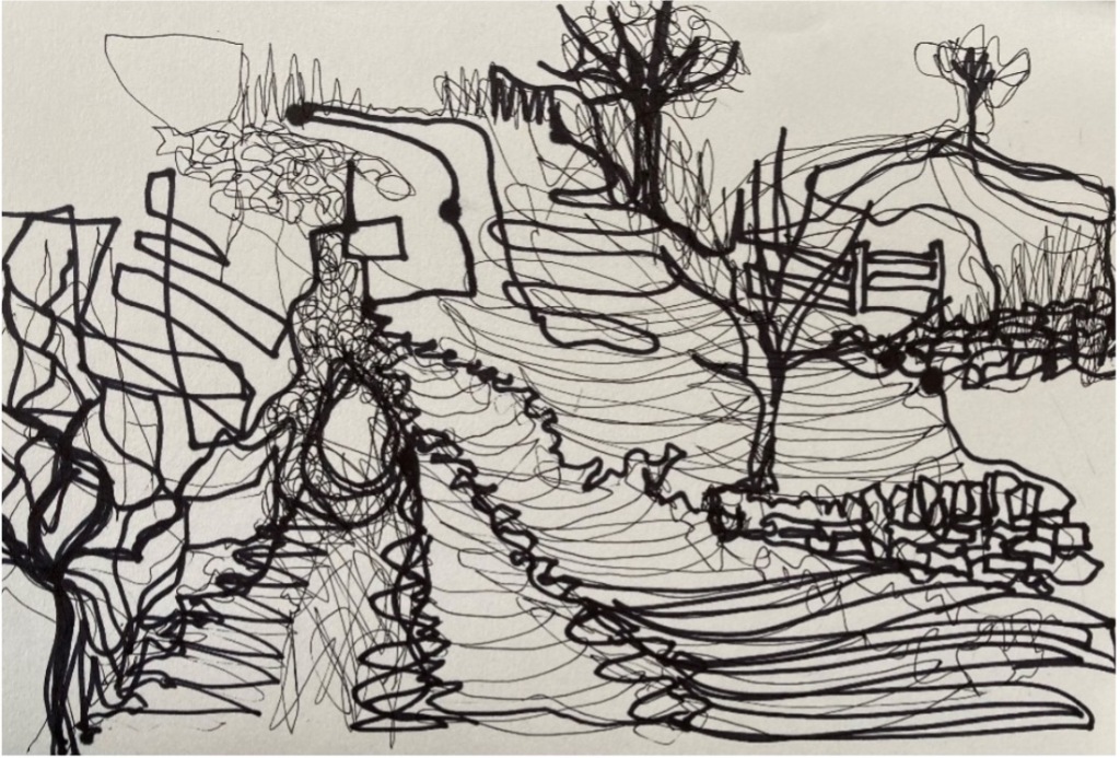 A continuous line artwork by Ann Mccall, with trees, pathways.