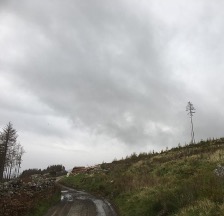 A blurred photo of a road heading uphill, against a grey sky.