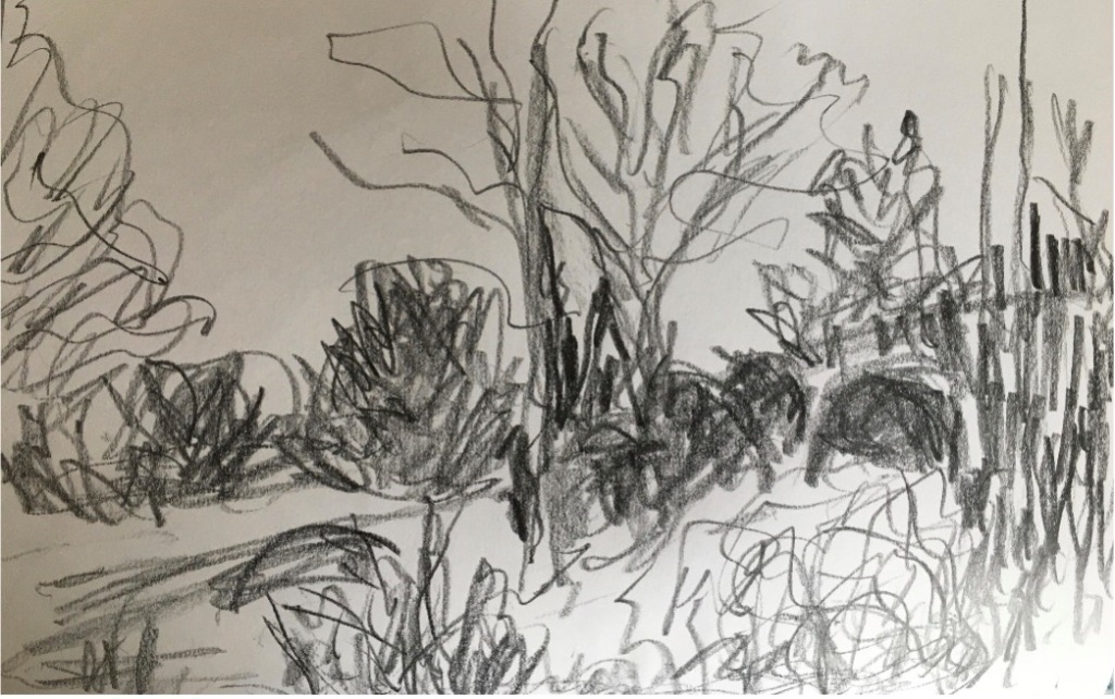 A grey pencil sketch possibly of trees and undergrowth.